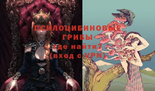 apvp Нея