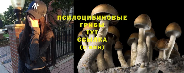хмурый Нефтегорск
