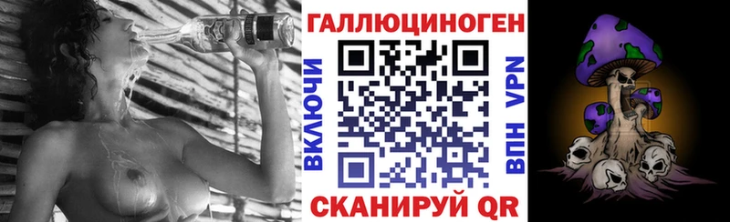 Галлюциногенные грибы Psilocybine cubensis  Калининск 